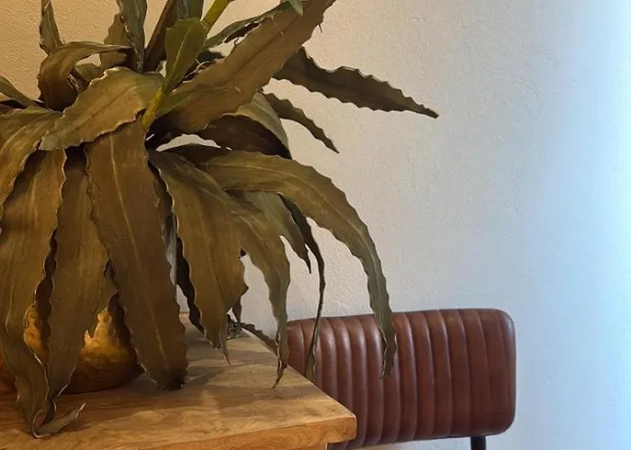 オテル エ トレ ステッレ ホテル 4*