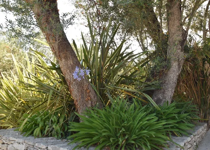 オテル エ トレ ステッレ ホテル 4*