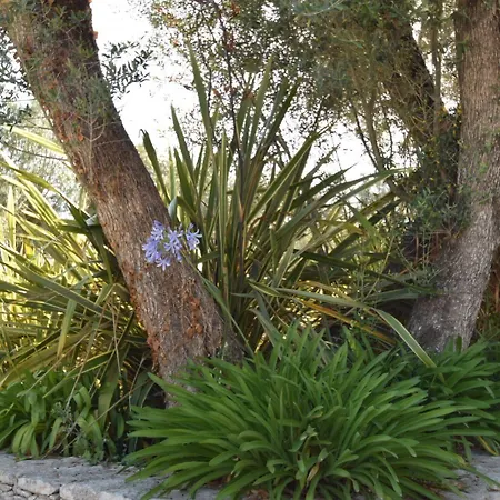 E Tre Stelle Hotell 4*